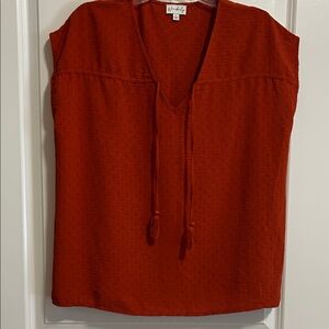 Wonderly Brick Red V-Neck Blouse
